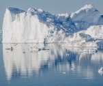 Eisberge in Grönland
