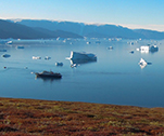 Blick auf den Fjord von der Tundra © Erwin Vermeulen / Oceanwide Expeditions