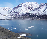 In Spitzbergen © Jan Michiels / Oceanwide Expeditions