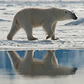 Spitzbergen Intensiv