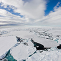 Spitzbergen Intensiv