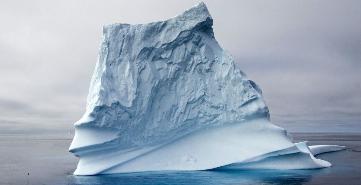 Arctic ProCruises