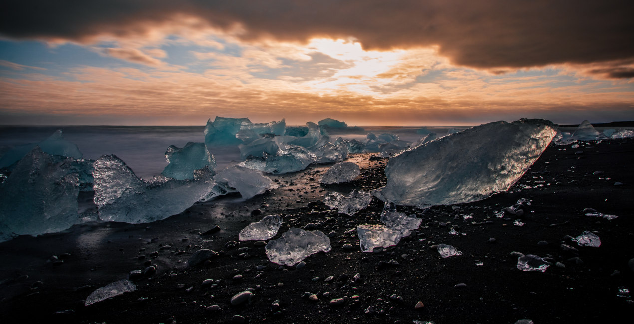 Arctic ProCruises