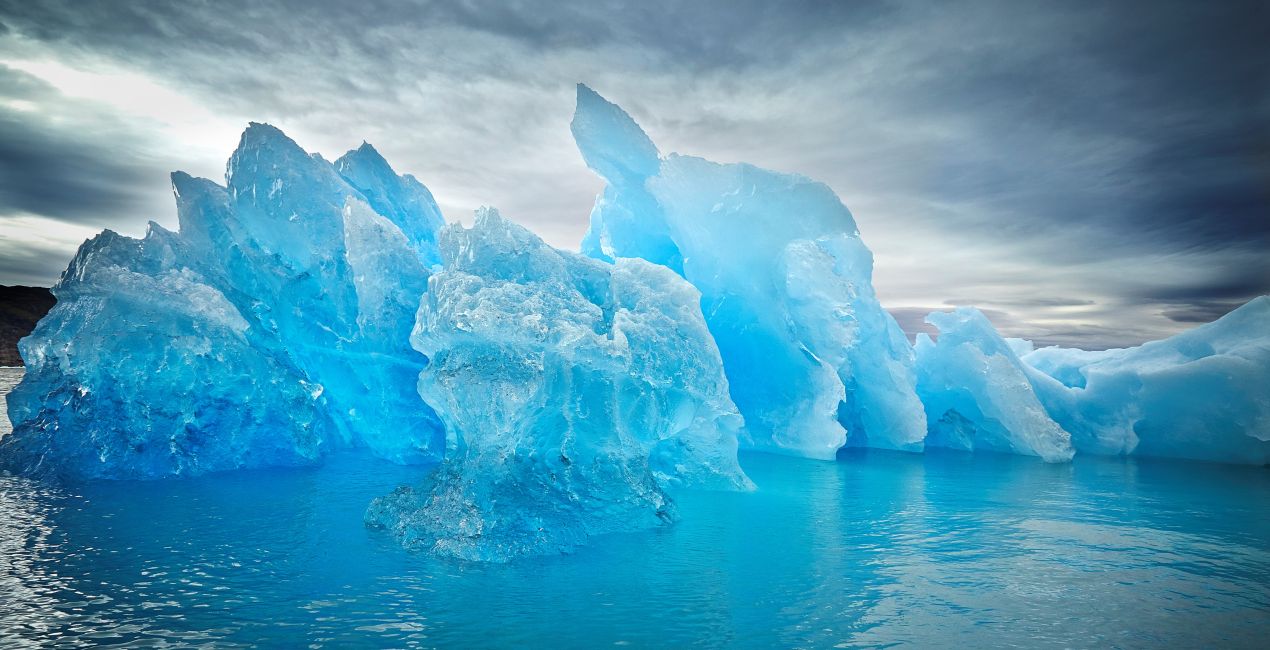 Arctic ProCruises