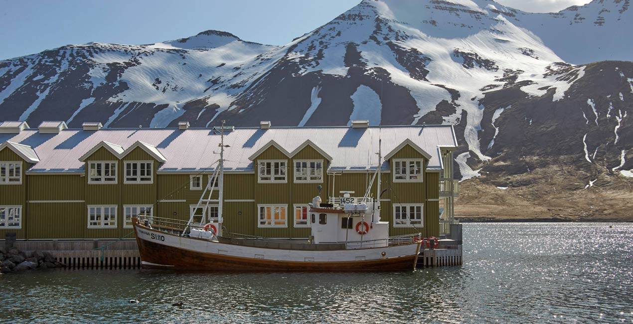 Arctic ProCruises