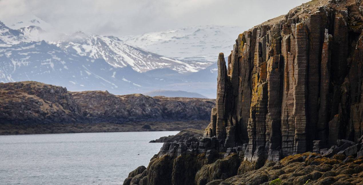 Arctic ProCruises