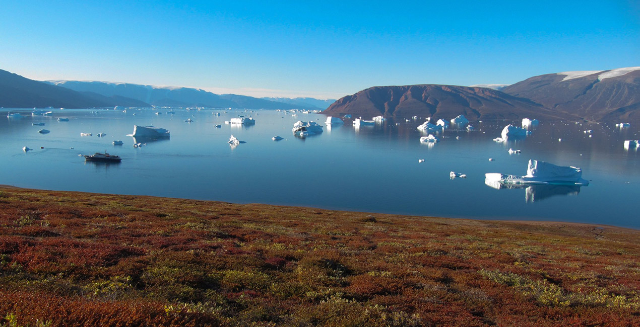 Arctic ProCruises
